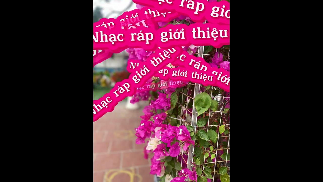 Nhạc ráp đọc vè
