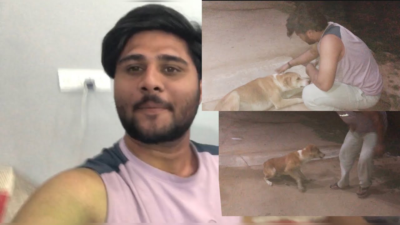 Dog 🐕 loyalty test |  #dogvlog #vlog #explore 