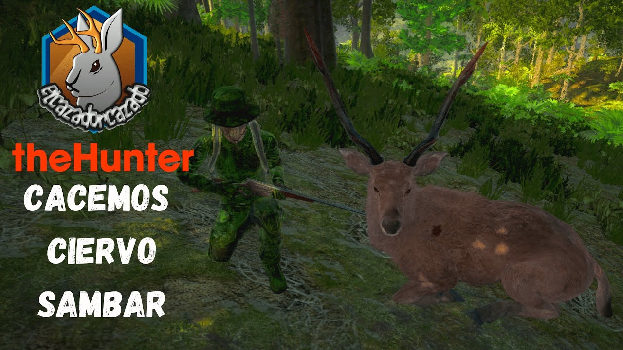 Cacemos Ciervo Sambar/ The Hunter Classic/ Guía de Caza