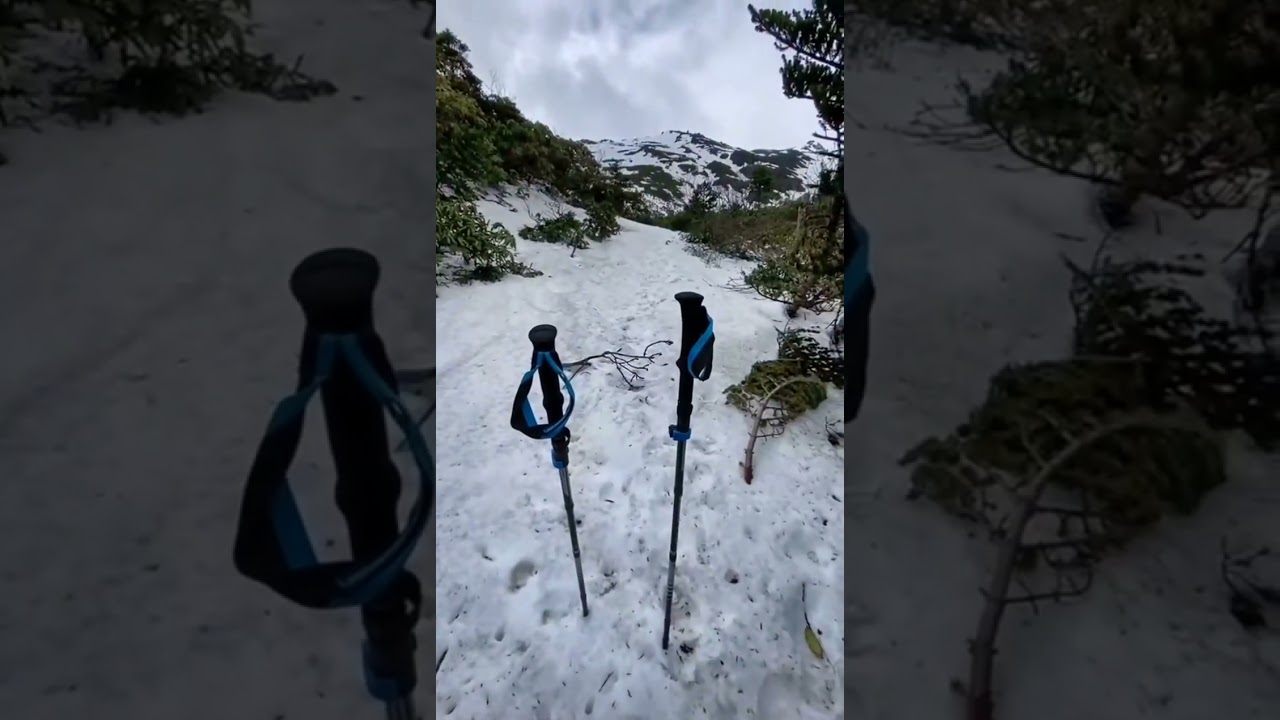 ##旅行推荐官 #神女峰缅茨姆，心随景动，从起点，到尽头，也许路途艰苦，但最多的是对一路所遇的震撼，勇敢前行，把足迹连成生命线，踏寻神女缅茨姆 #不负这一路的跋山涉水 #缅茨姆南坡