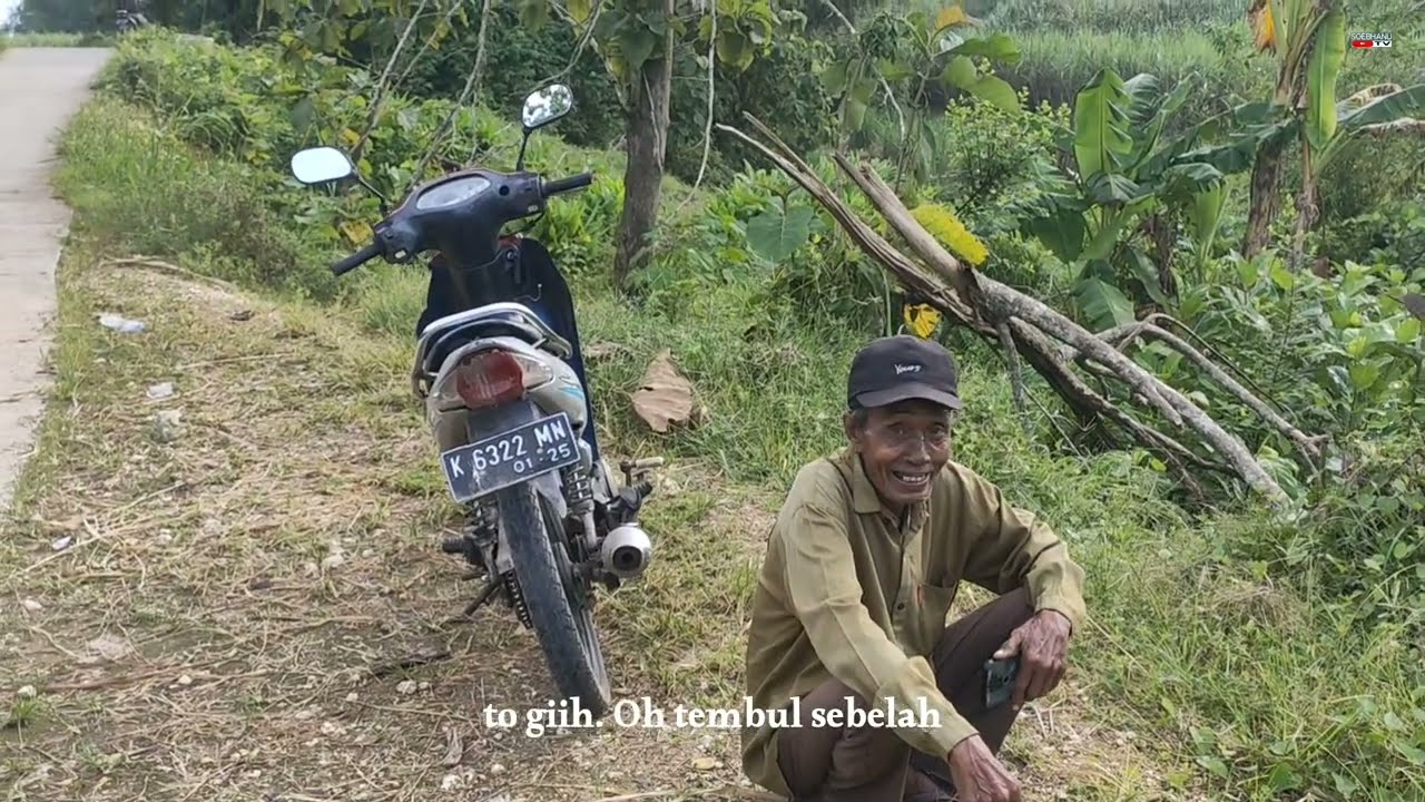 The cool, cool, green, royo-royo rice fields of Blora district, Central Java, Indonesia. 