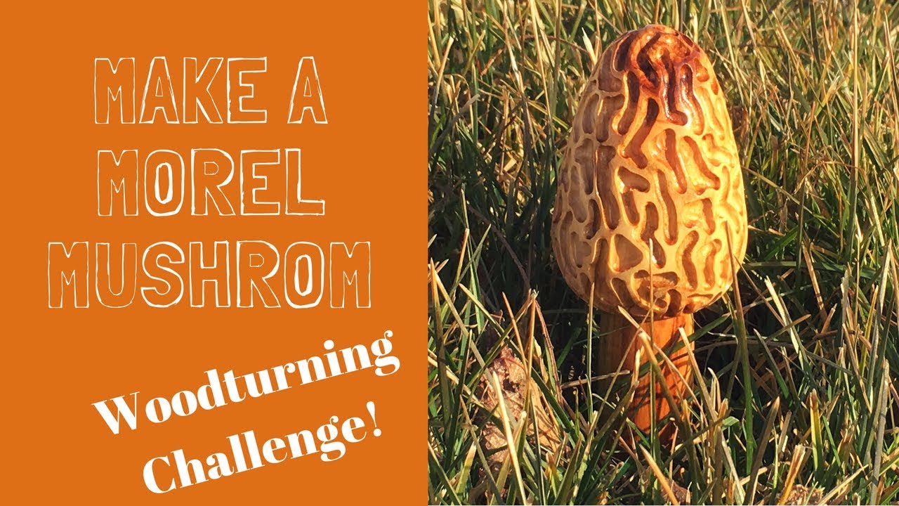 make a morel mushroom woodturning challenge