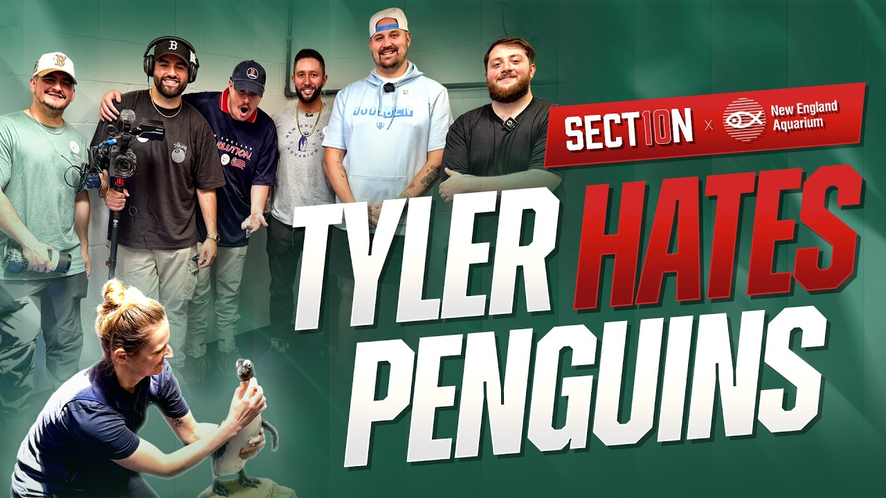 Can Althea the Penguin Change Tyler's Mind? I Section 10 at the New England Aquarium