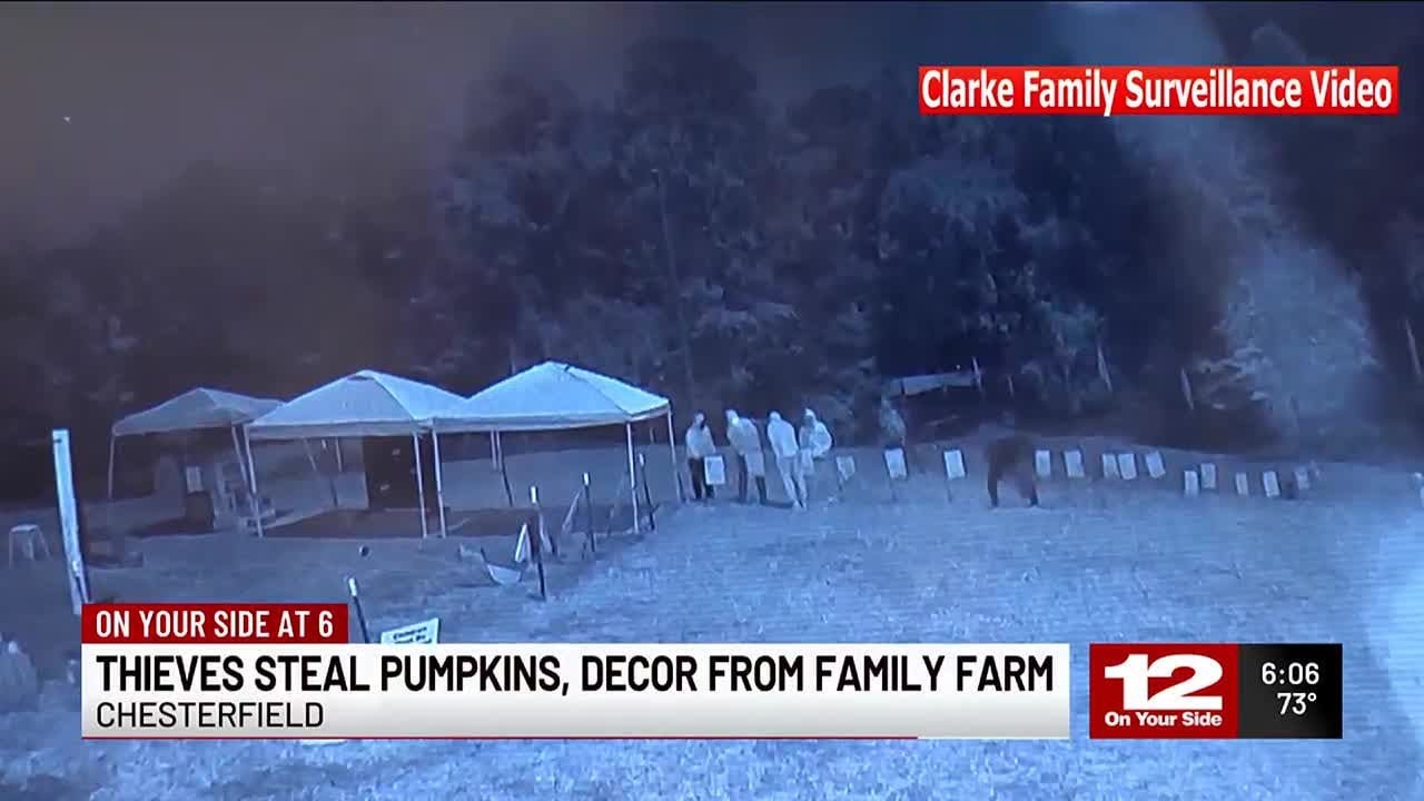 Thieves steal pumpkins, decor from family farm