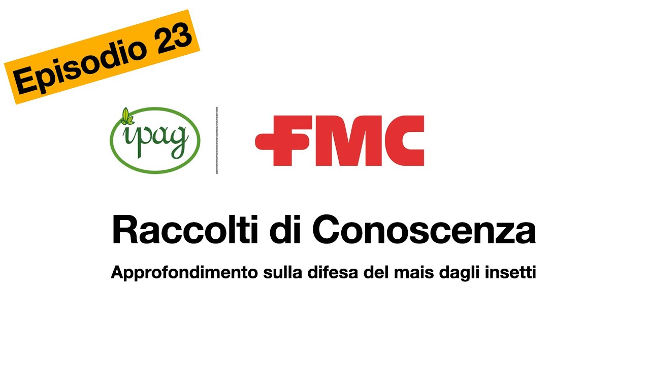 Coragen Mais: la difesa del mais da Diabrotica e Piralide - Raccolti di conoscenza by Ipag-Ep.23