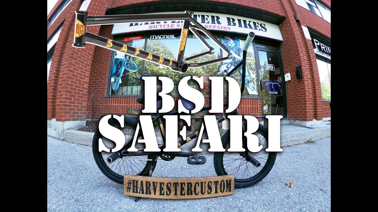 BSD Safari 
