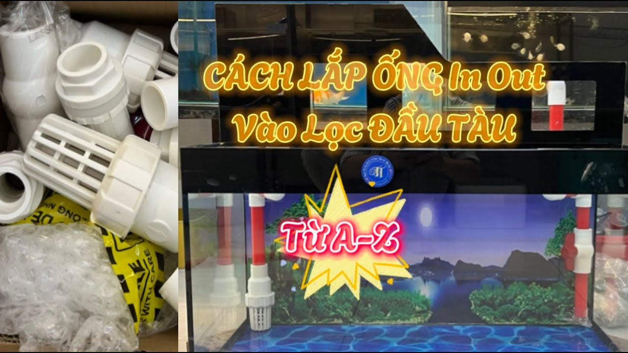 Cách lắp ỐNG IN OUT cho lọc đầu tàu - CÁ CẢNH TRỌNG TOÁN