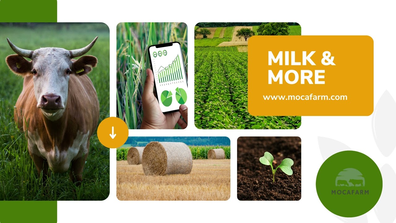 MOCAFARM Investment | mocafarm.com | Moca Farn Dairy | MocaFarm Dairy Inc. | Moca Farm Invest