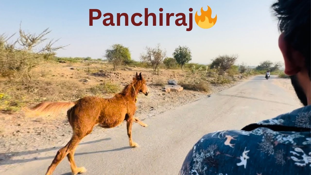 Aaj to PanchiRaj ko khula choddiya