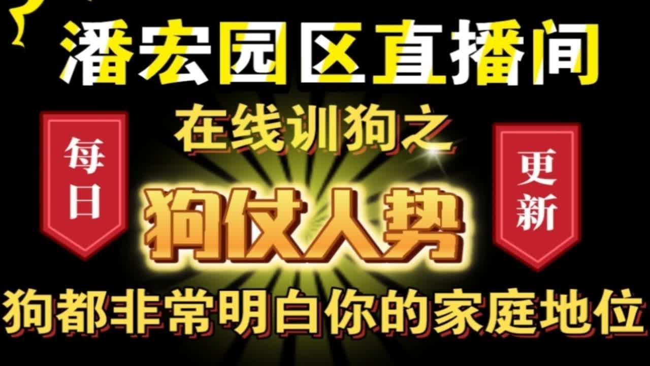 每日更新-潘宏园区直播在线训狗-狗子呲牙 大哥嘴硬！