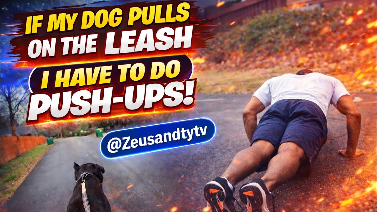If my dog pulls on the leash I have to do pushups 