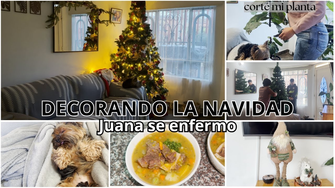 ✨COMENCÉ A DECORAR LA NAVIDAD 🎄 CON UN TOQUE DE TRISTEZA | MI PERRITA SE ENFERMO MIENTRAS DECORABA