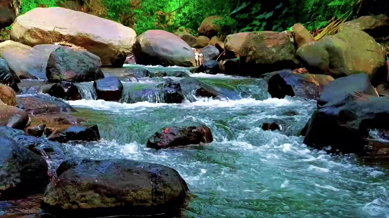 Calming Forest Ambience with Flowing River in Hidden Forest for Rest, Medicine and Deep Sleep