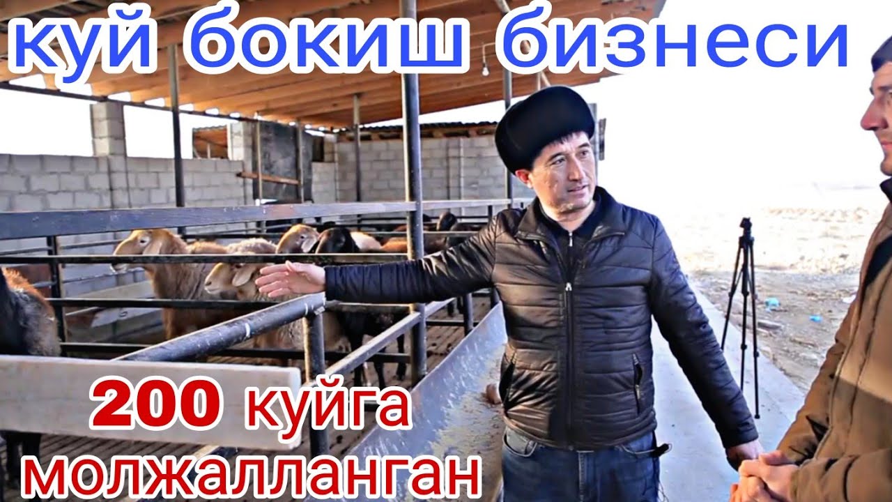куй бокиш уй шароитида Барча сирлар очилди