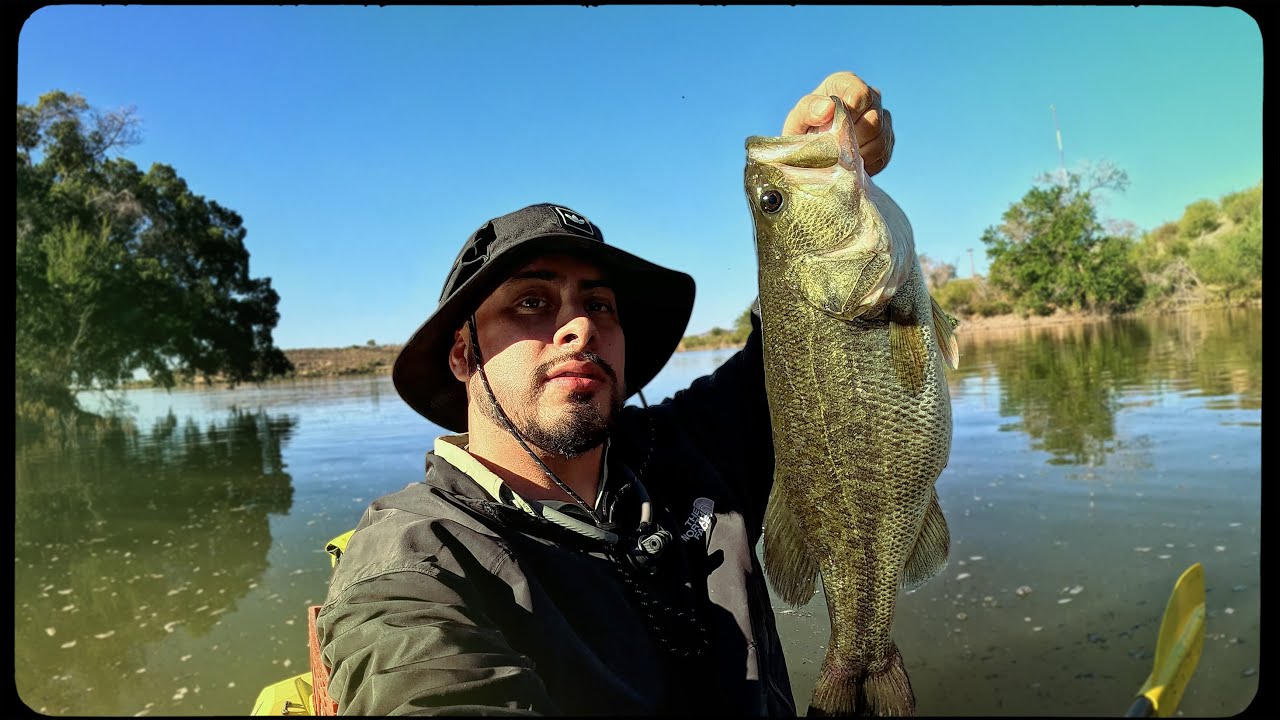 LOBINA de 2 kg. con Superficial / CD. OBREGON - DIQUE 10