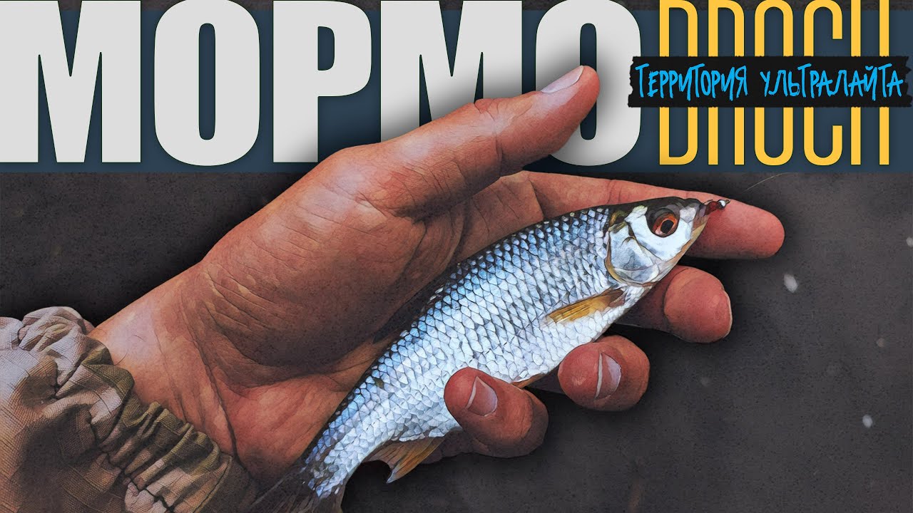 РЫБАЛКА С МОРМЫШКОЙ НА КРАСИВОЙ РЕКЕ  ► МОРМЫШИНГ