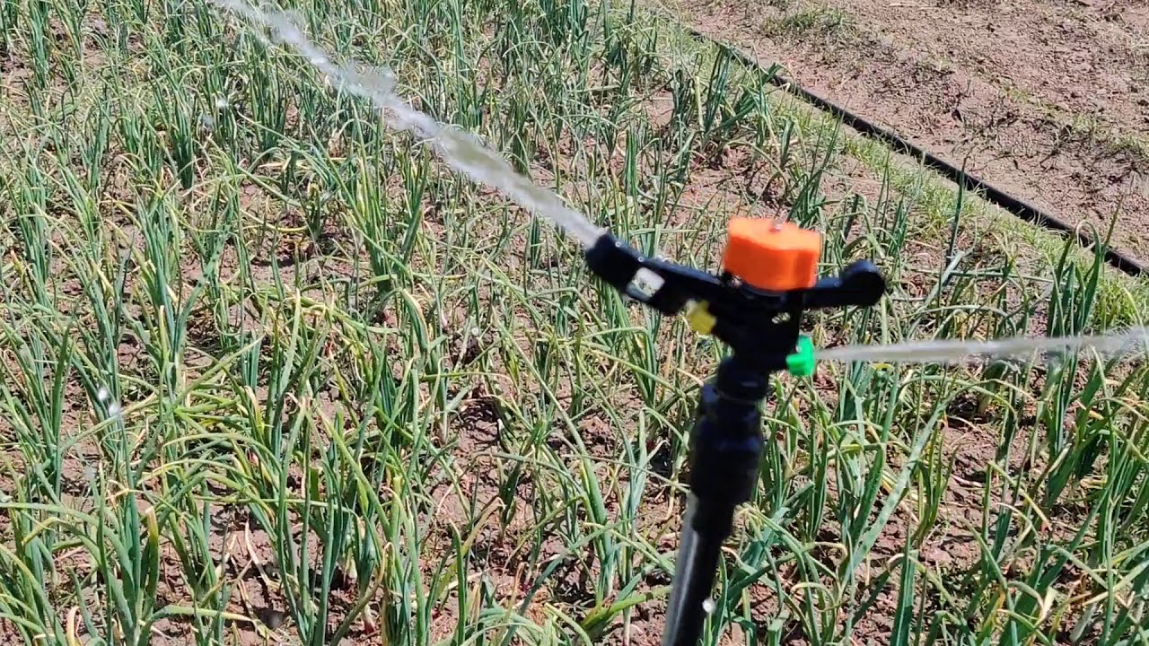Netafim sprinkler @EcoFarm 4th April,2020