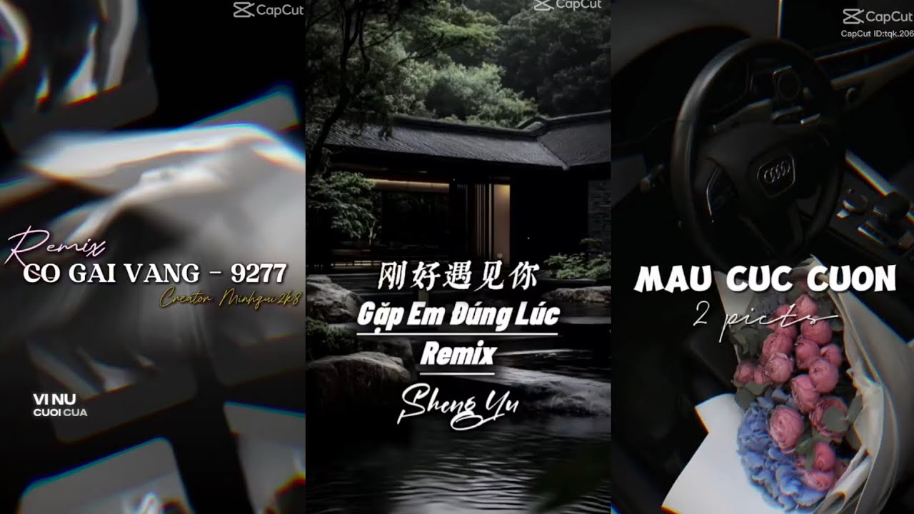 [ Tik Tok  ] Tổng hợp những bài nhạc remix cực hay trên Tik Tok P.48