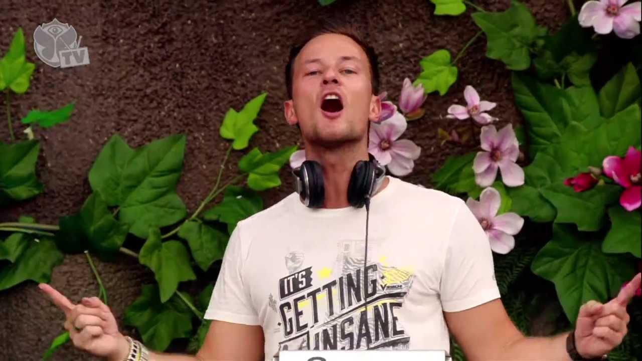 Tomorrowland 2013 - Yves V - Sunday