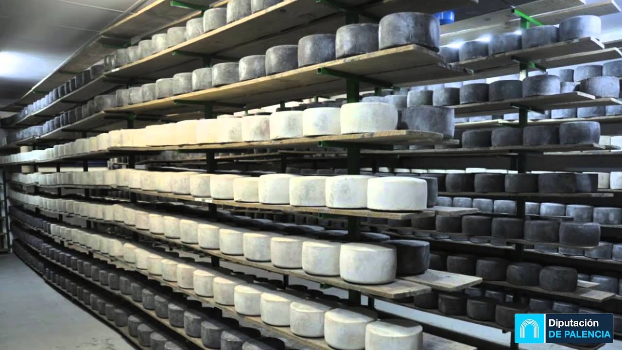 Factorías Visitables: Quesos Crego