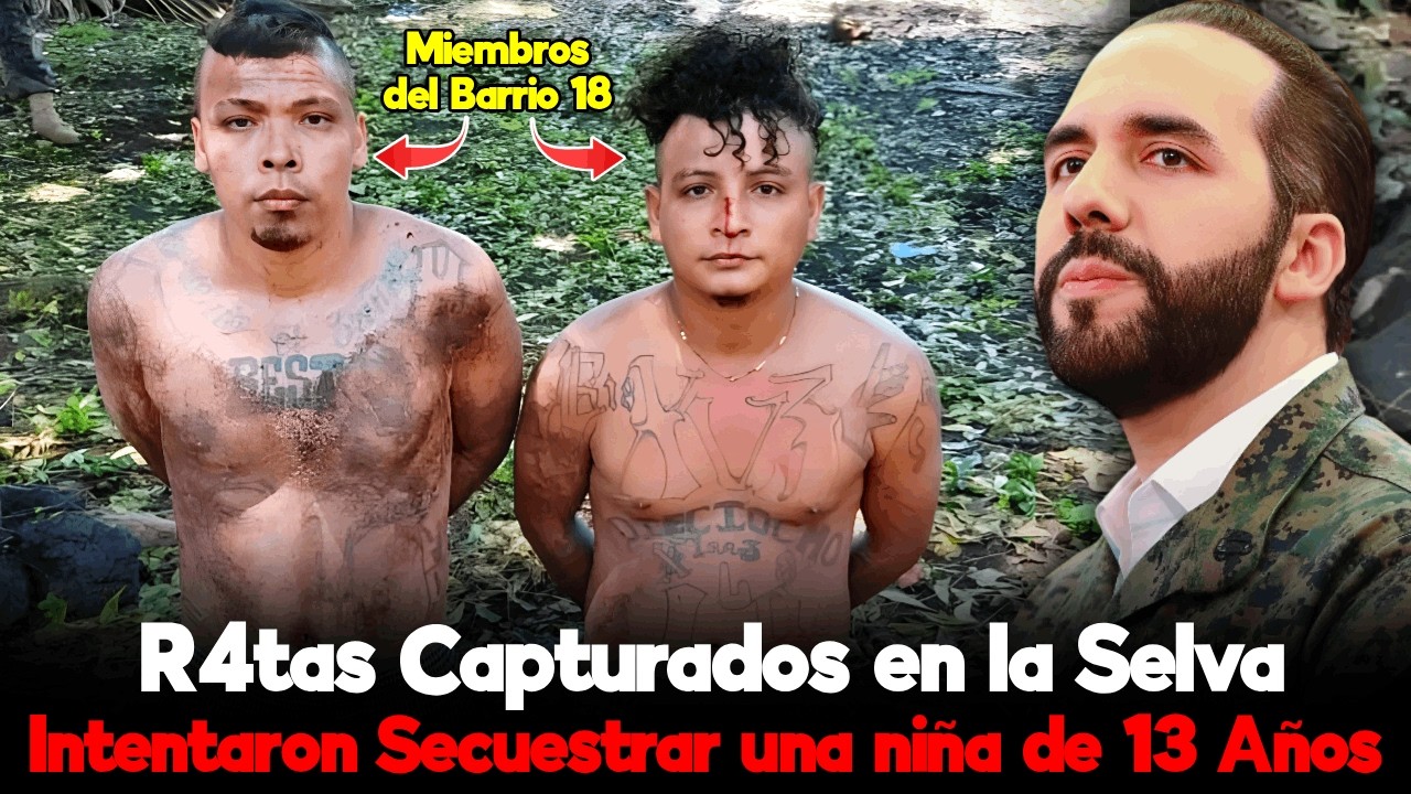 🛑 El Intento de Secuestro que Desató el Operativo Más Intenso del Año