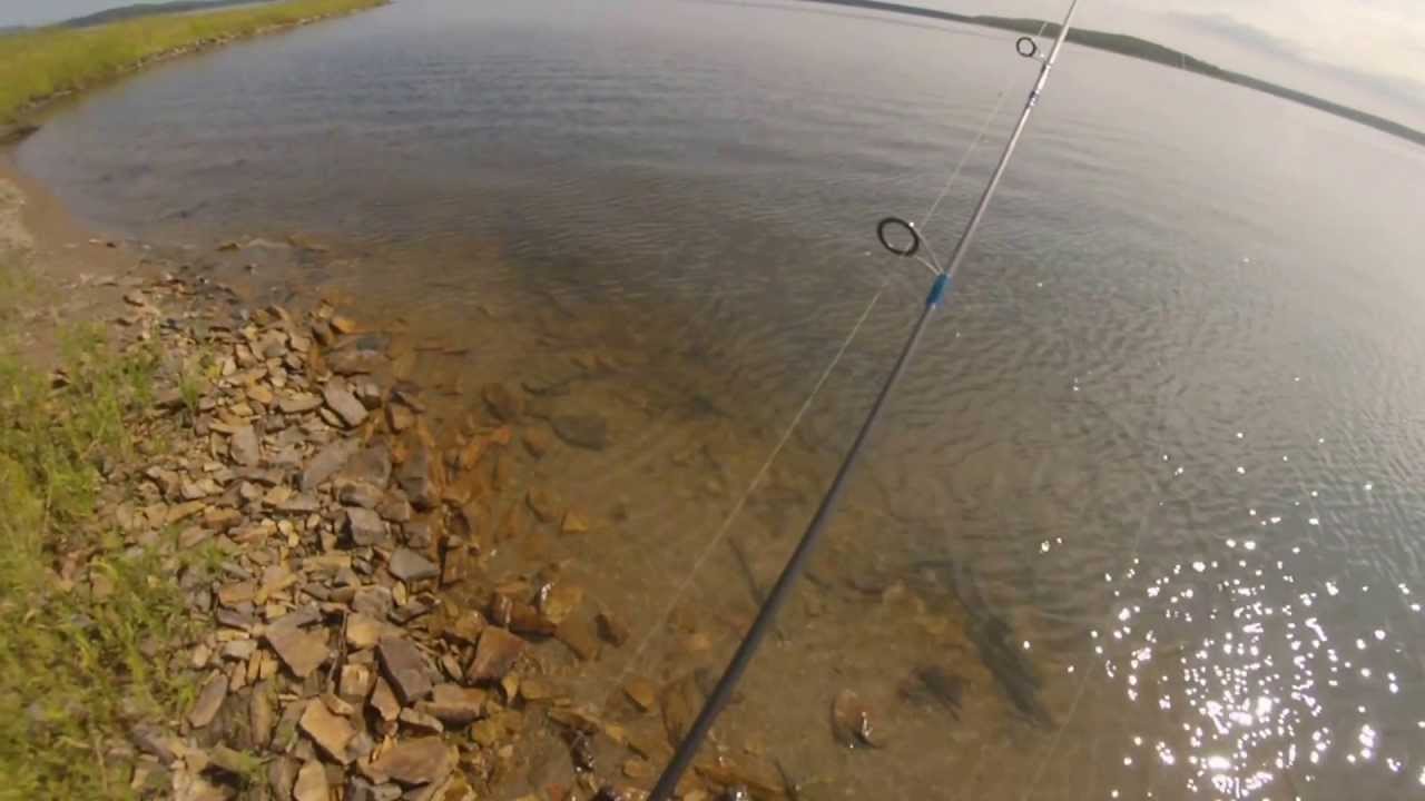 CoolBaits: Микроотчет - Половил окушка =)