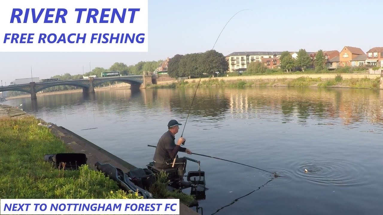 RIVER TRENT - FREE Roach Fishing - Nottingham Forest FC - Stick Float - Urban Fishing - Pike Attack