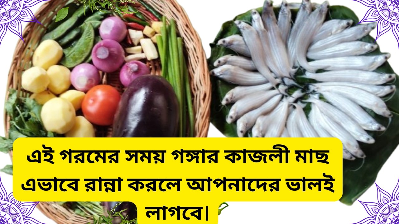 এই গরমের সময় গঙ্গার কাজলি মাছ এভাবে রান্না করলে আপনাদের ভালই লাগবে ।। কাজলি মাছের তেল-ঝাল