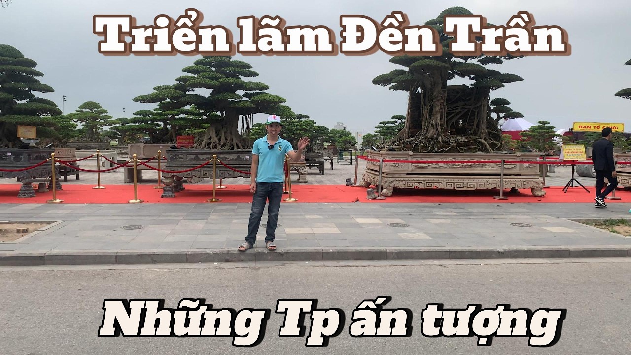 Triển lãm cây cảnh Đền Trần  Những Tp ấn tượng