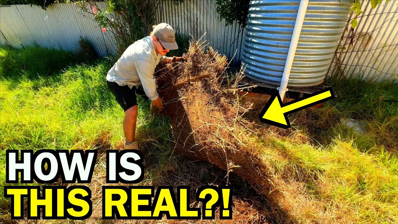 This Family DESPERATELY needed my HELP - So I did it for FREE!