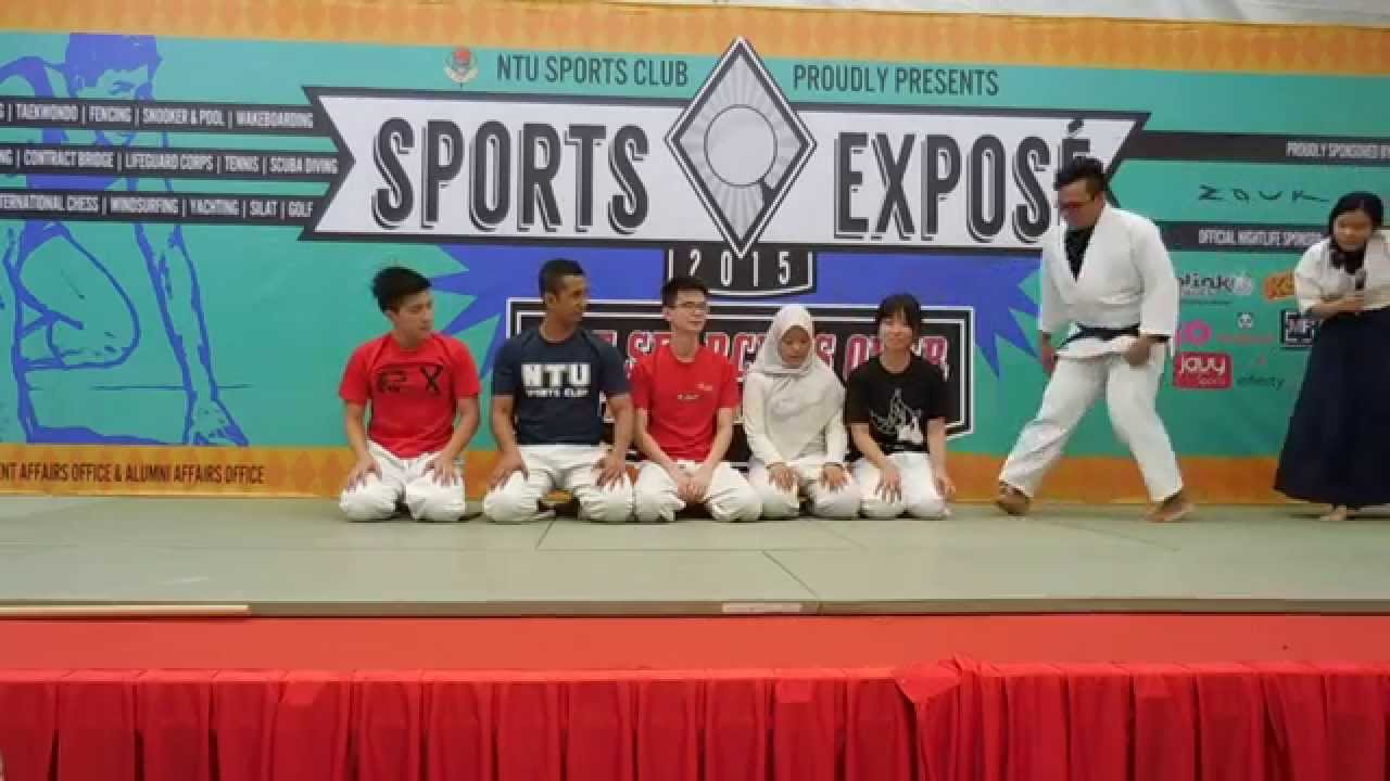Sports Expos&eacute; 2015