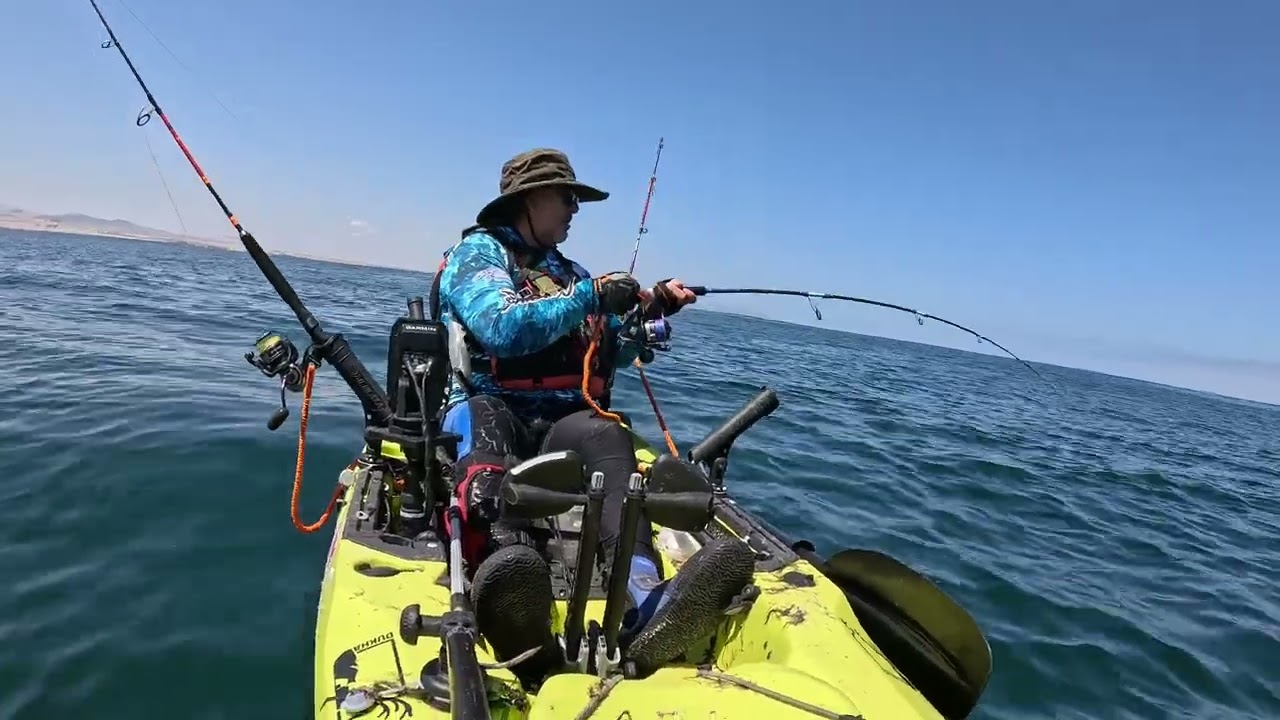 Bonito, buena pelea me dio este bonito
