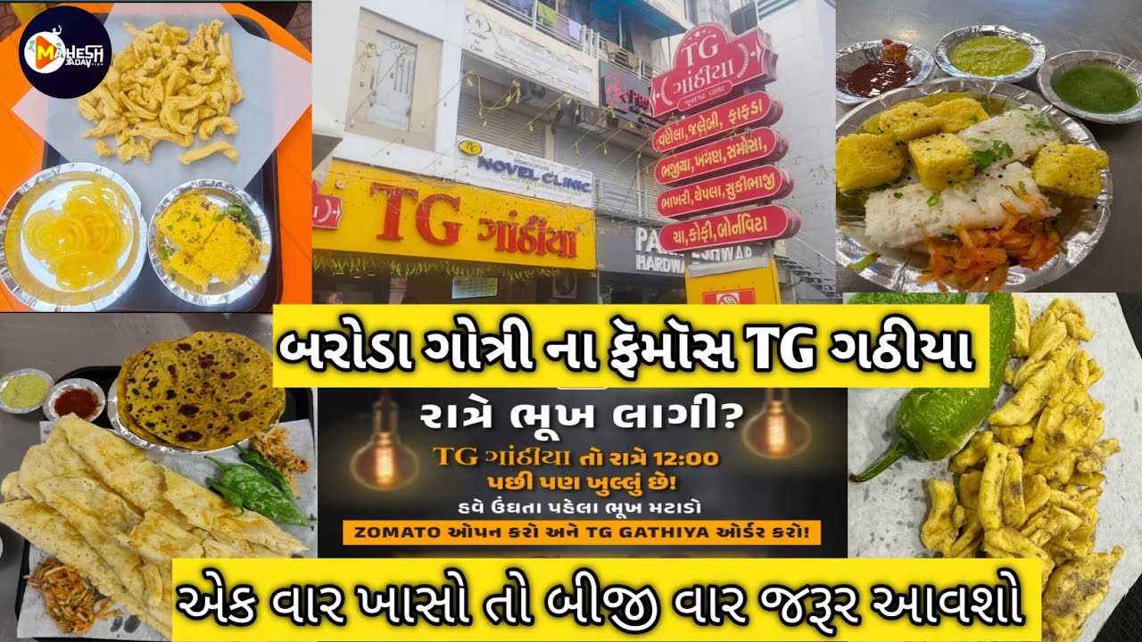 ll VADODRA NA FAMOUS TG GATHIYA ll વડોદરા ના ફેમસ ટી જી ગાંઠિયા ll #vadodra #2025 