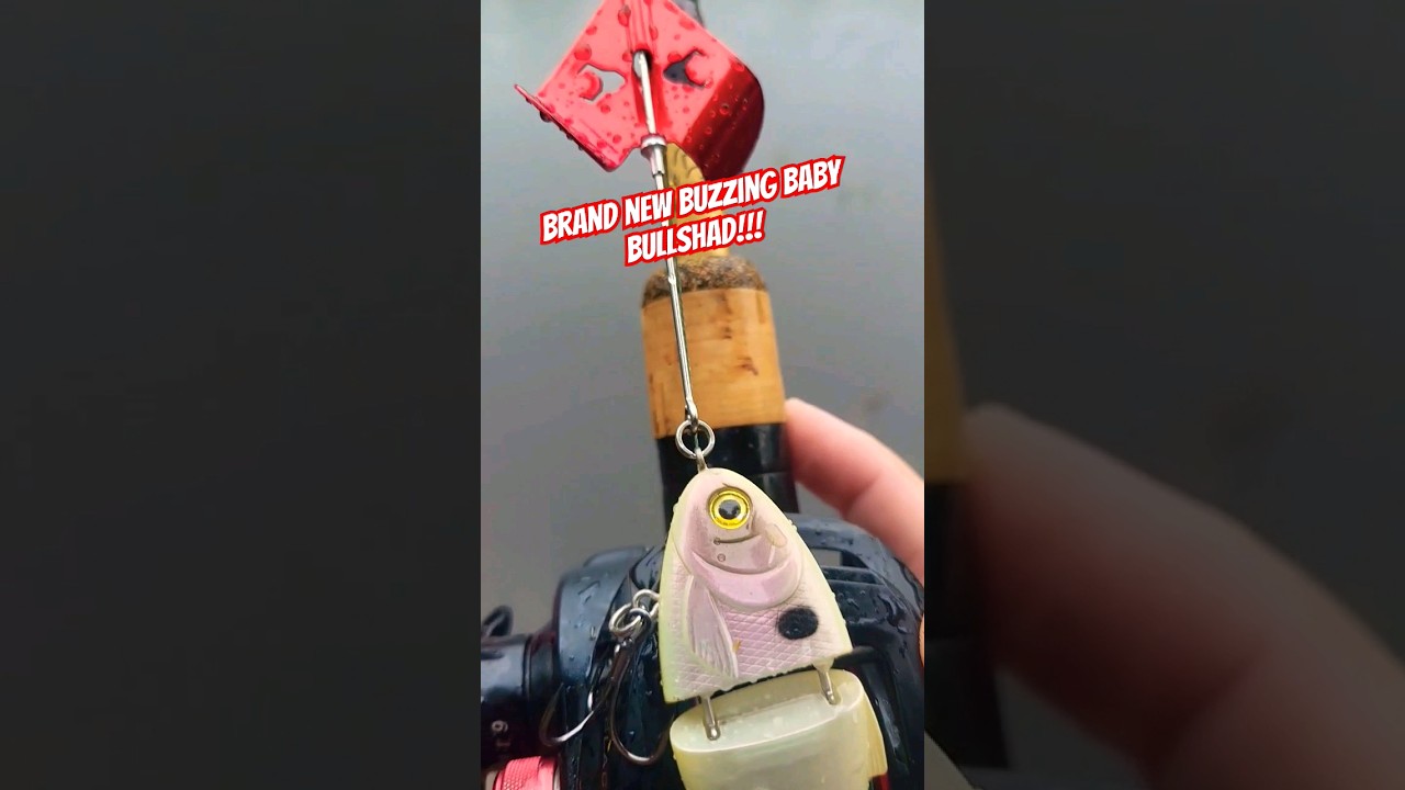 The Lure Everyone Is Talking About!!! 🤯👀 #brandnew #fishing #swimbait #topwater #bassfishing #viral
