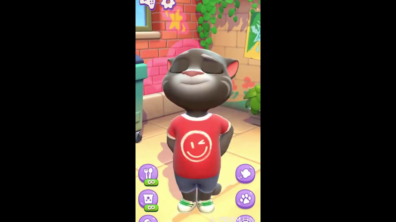 talking tom live fun