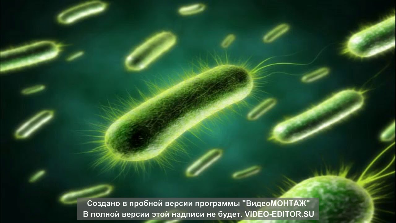 микробы 7 08 18