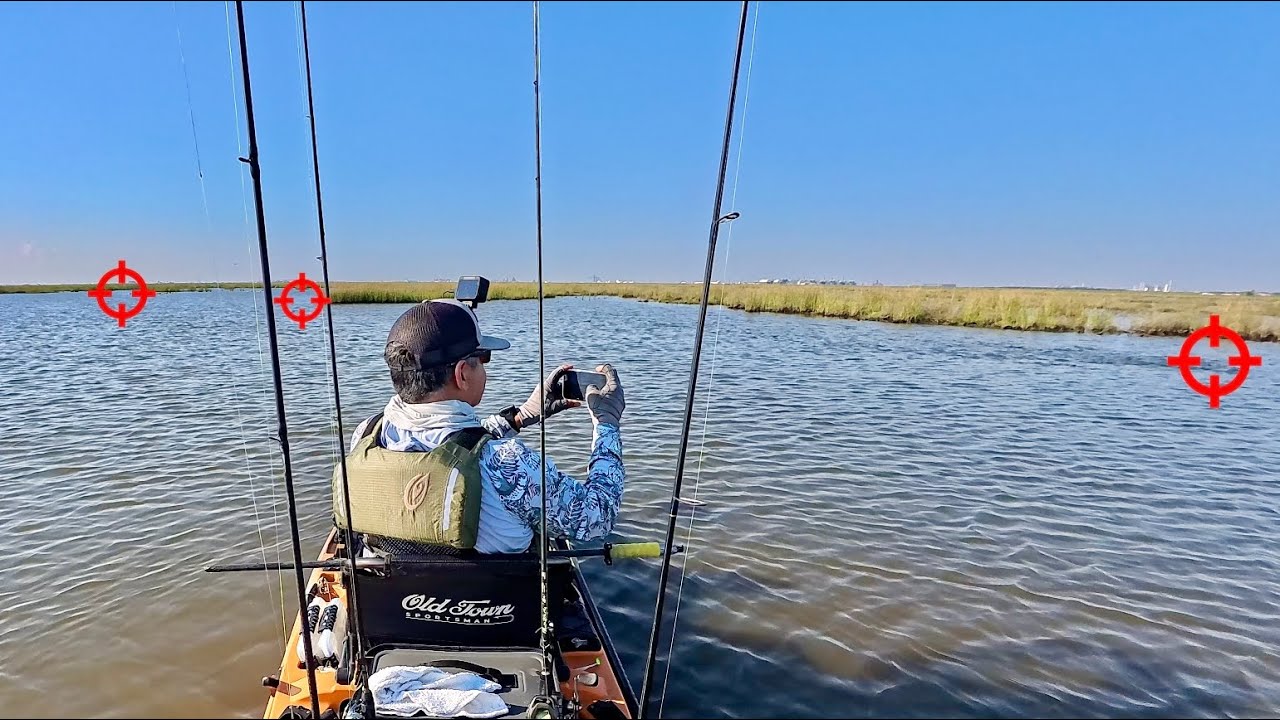 The fish are everywhere: This spot is unbelievable 