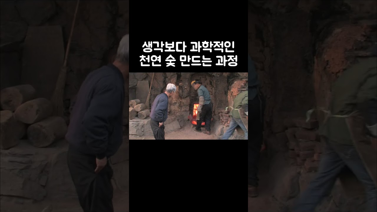 나무를 숯으로 재탄생시키는 방법 #shorts