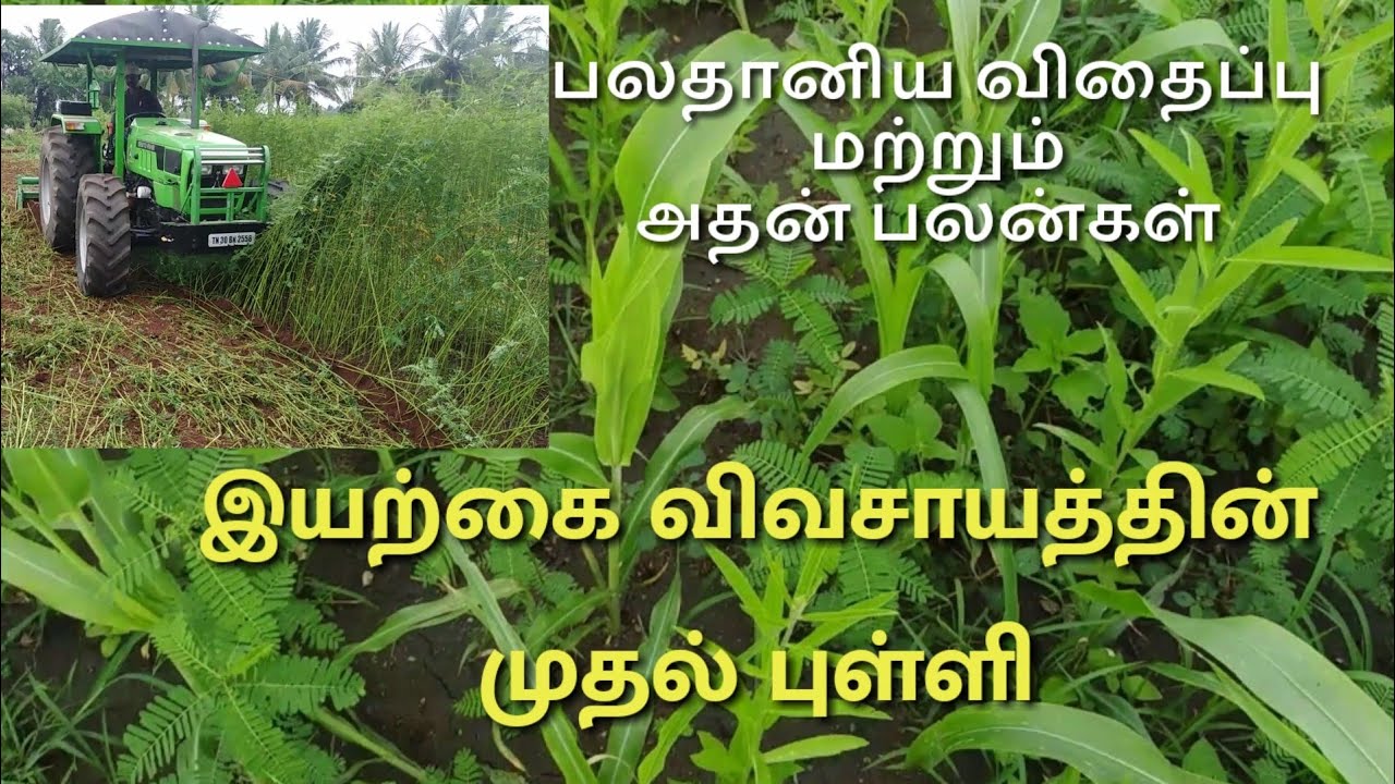 பலதானிய விதைப்பு | இயற்கை விவசாயத்தின் முதல் புள்ளி |