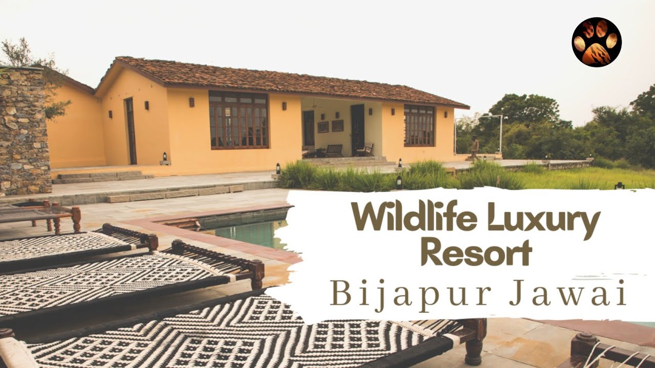 Эпизод 4 — Bijapur Lodge Jawai | Самый роскошный курорт на Джаваи | Где остановиться на Джаваи?