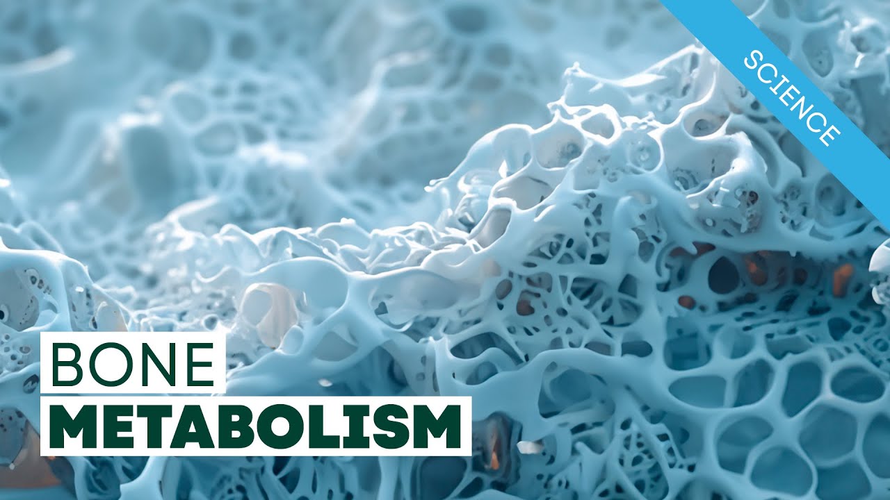 Vitamin K2 and Bone Metabolism