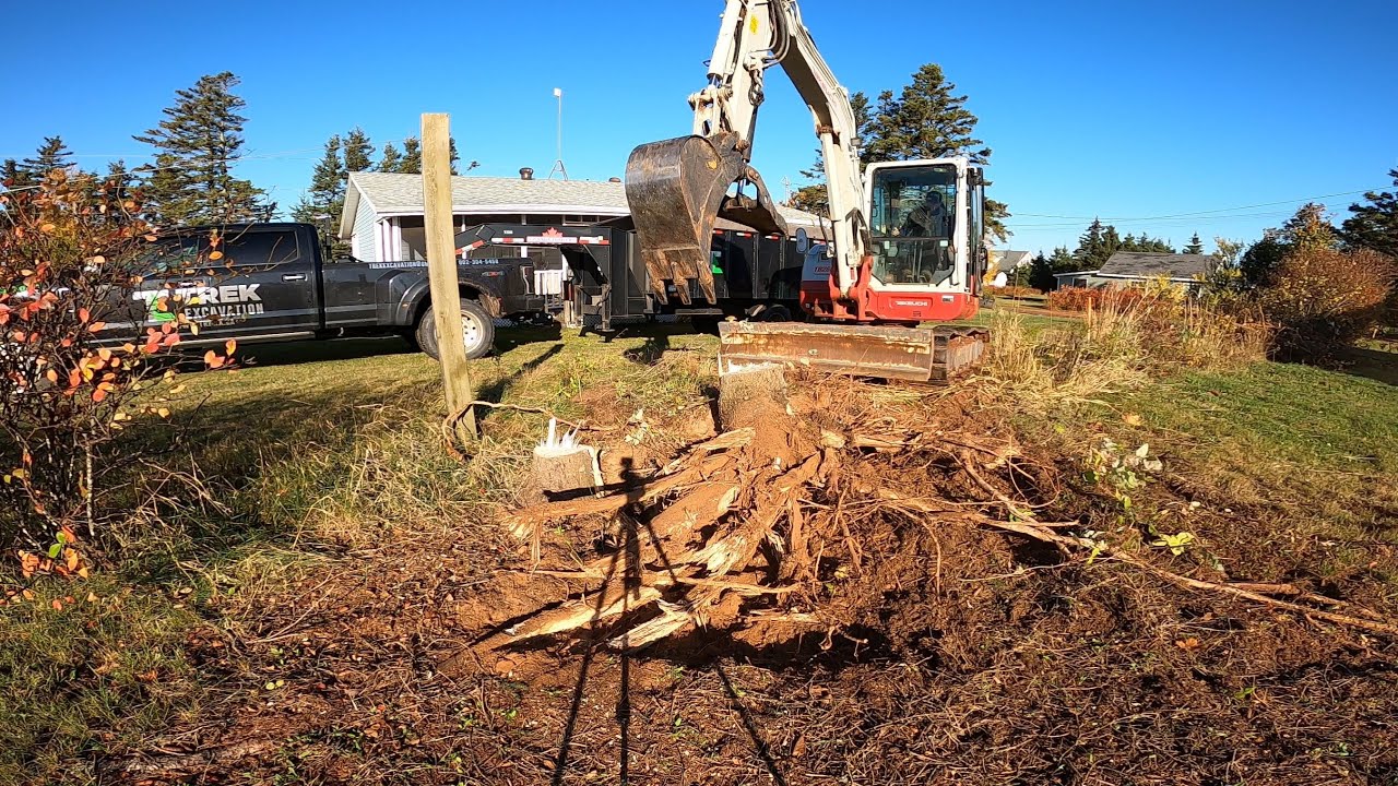 One Tree, One stump One Dump / Takeuchi TB260