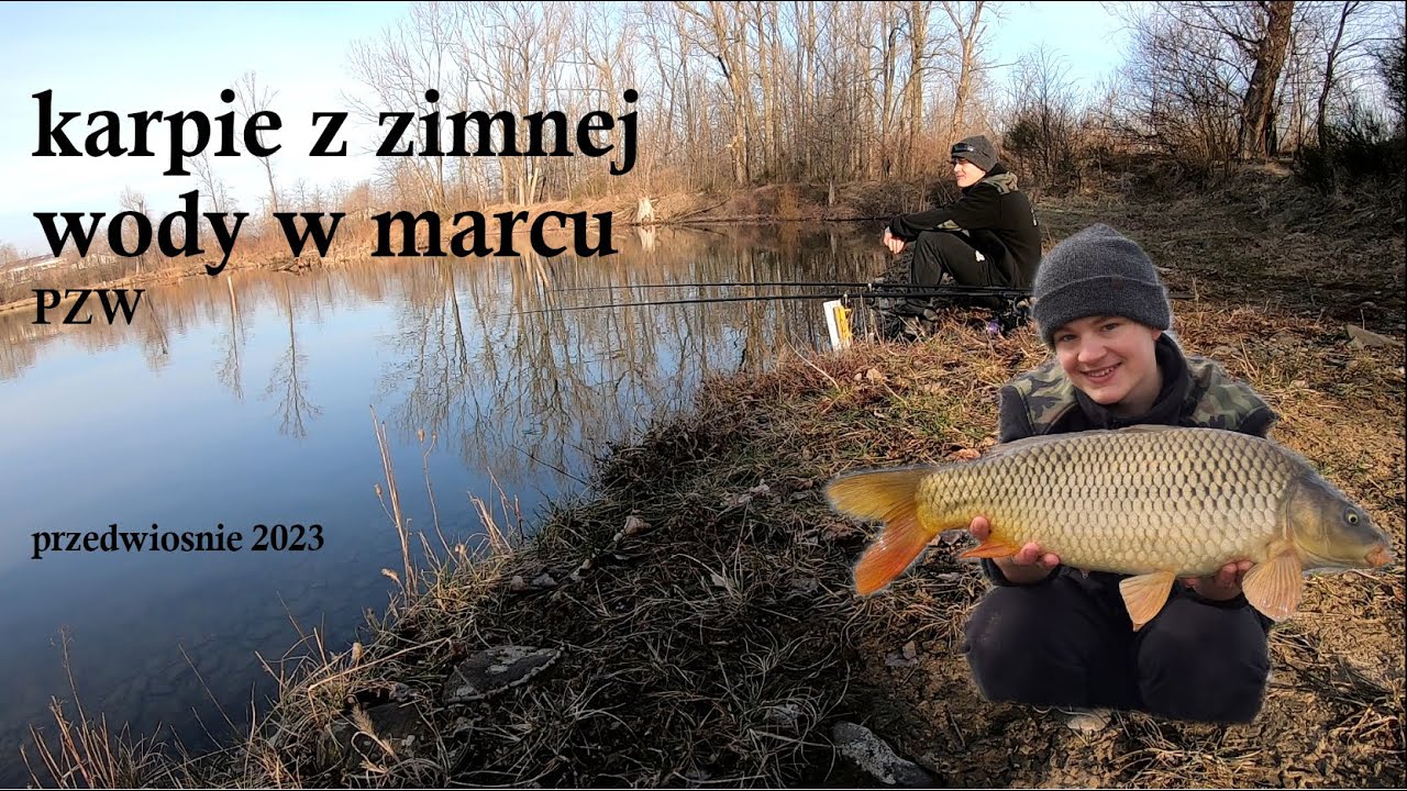 KARPIE Z ZIMNEJ WODY - JAK ZŁOWIĆ PRZEDWIOSENNEGO KARPIA ?  / ŻWIROWNIA PZW !!!