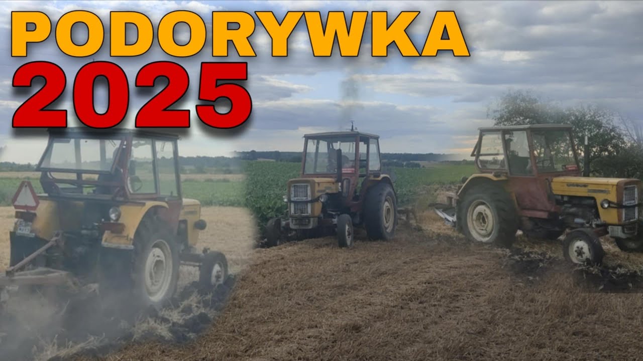 🎥 PODORYWKA 2025😎PRACE POŻNIWNE#1🚜TYLKO ORKA SIĘ OPŁACA 😆