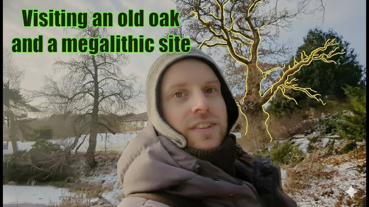 Visiting an old oak and an ancient bural site