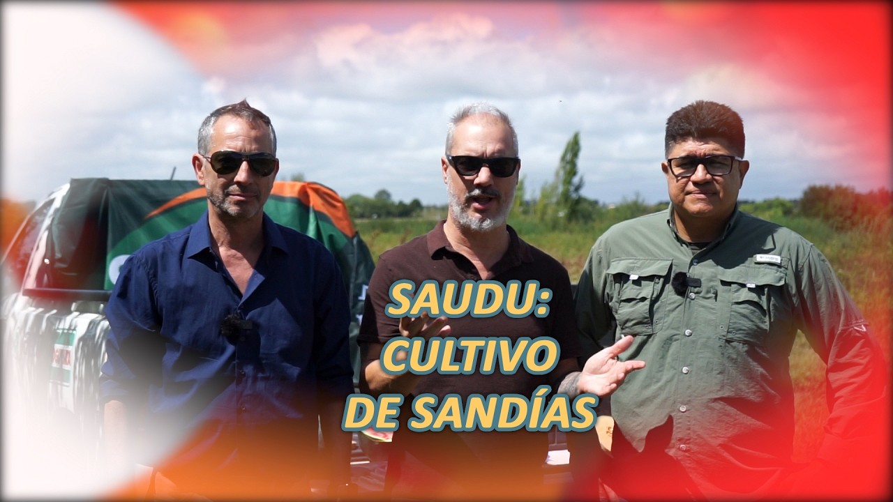 SAUDU: CULTIVO DE SANDÍAS 260307 FYM E