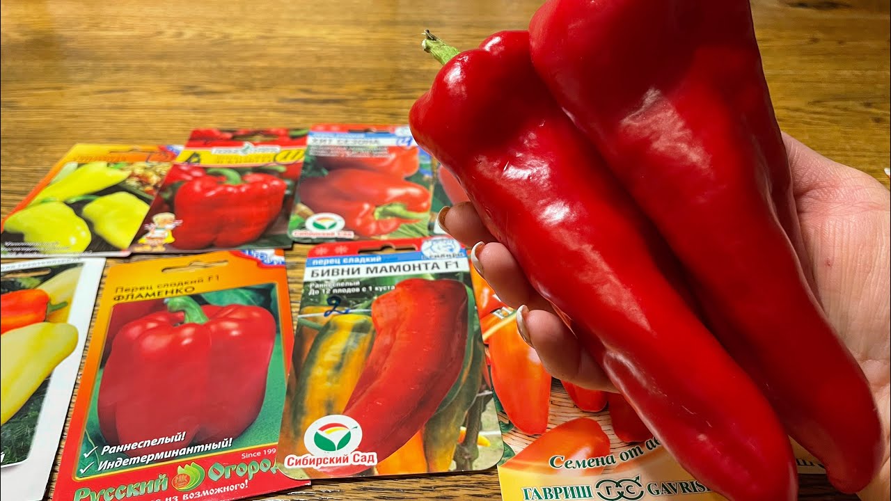 Самый УРОЖАЙНЫЙ и проверенный ПЕРЕЦ для нового сезона!