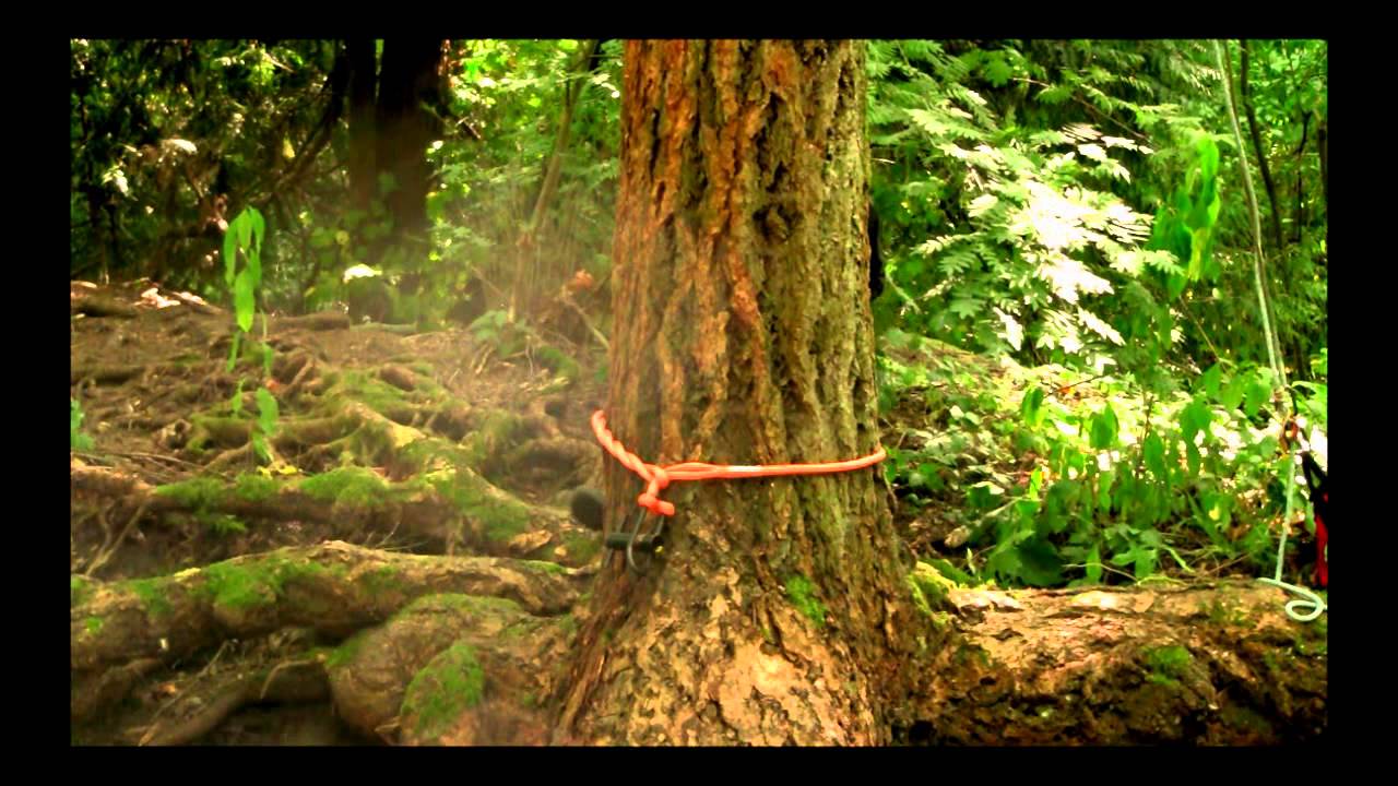 Timber Hitch - WesSpur Tree Equipment