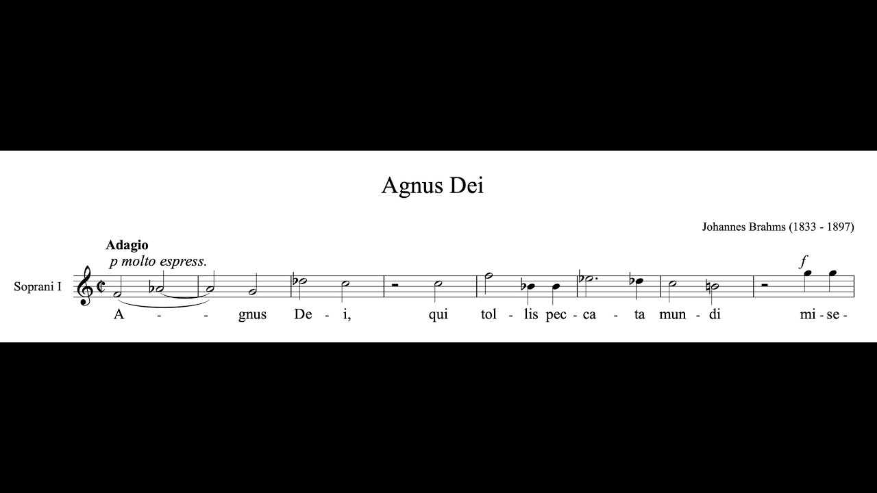 Johannes Brahms - Agnus Dei (Missa Canonica)