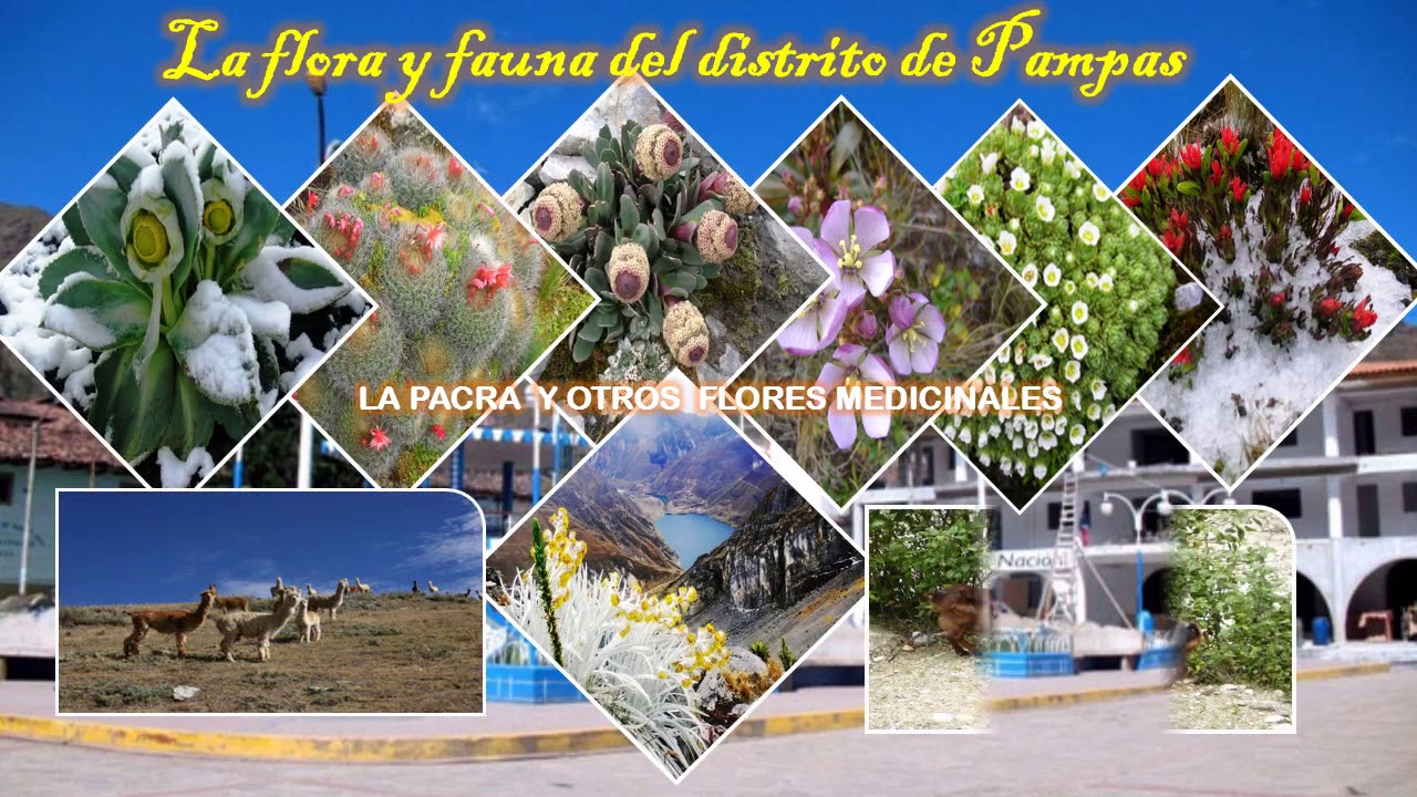 Las Maravillas de la Provincia de  Pallasca